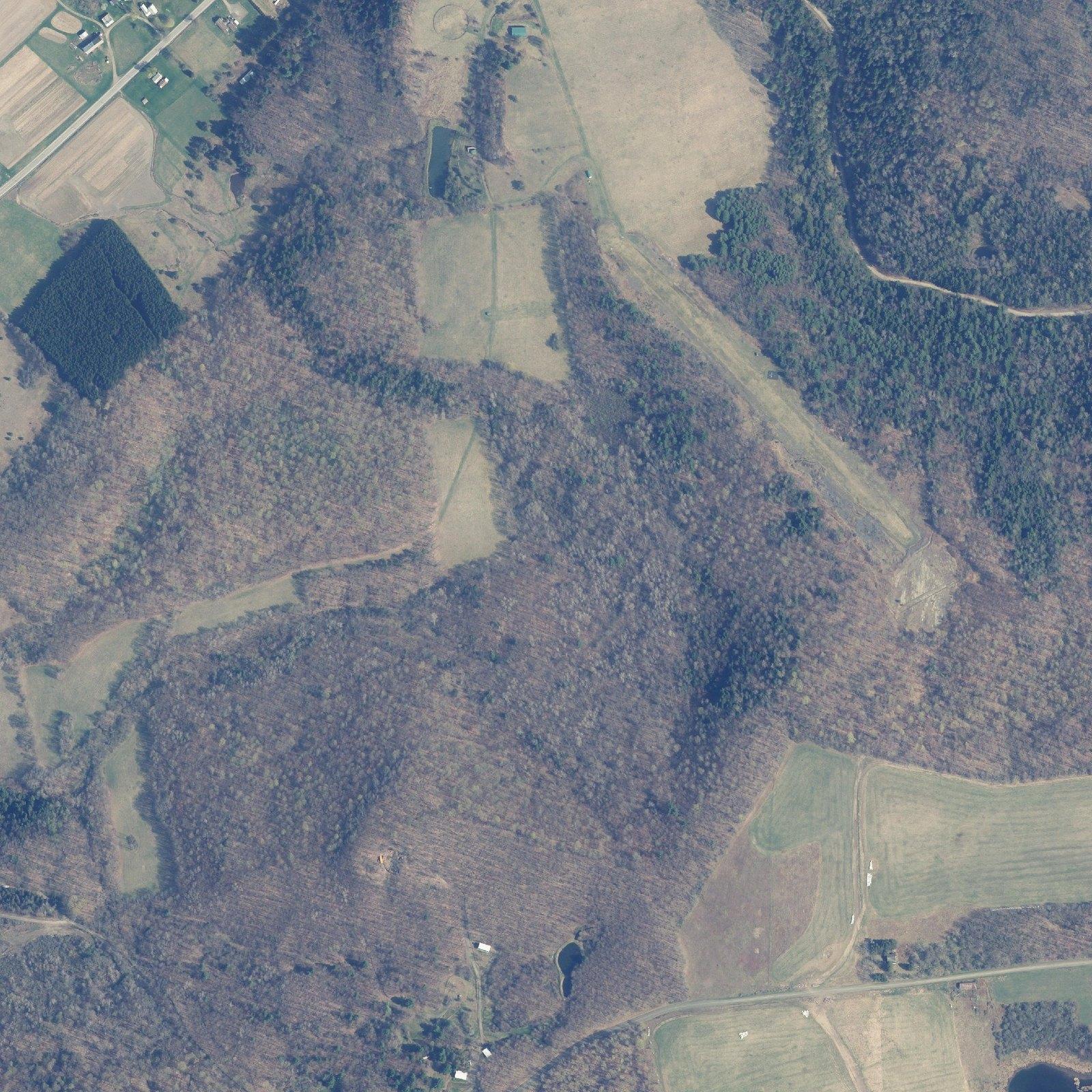 Leaf-off aerial of the walk-in from the field gate, past the hayfield ladder, to the kill plot stand.