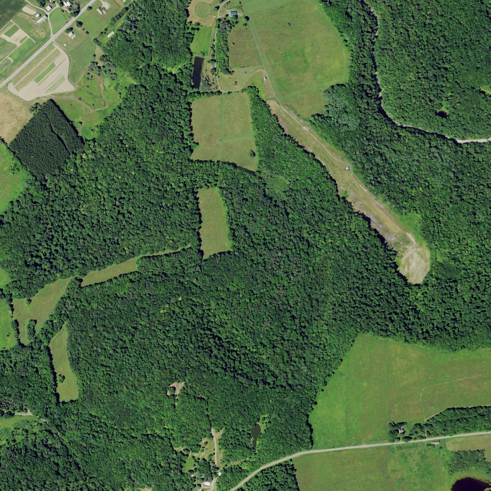 Summer leaf-on aerial (USDA NAIP) of the property.