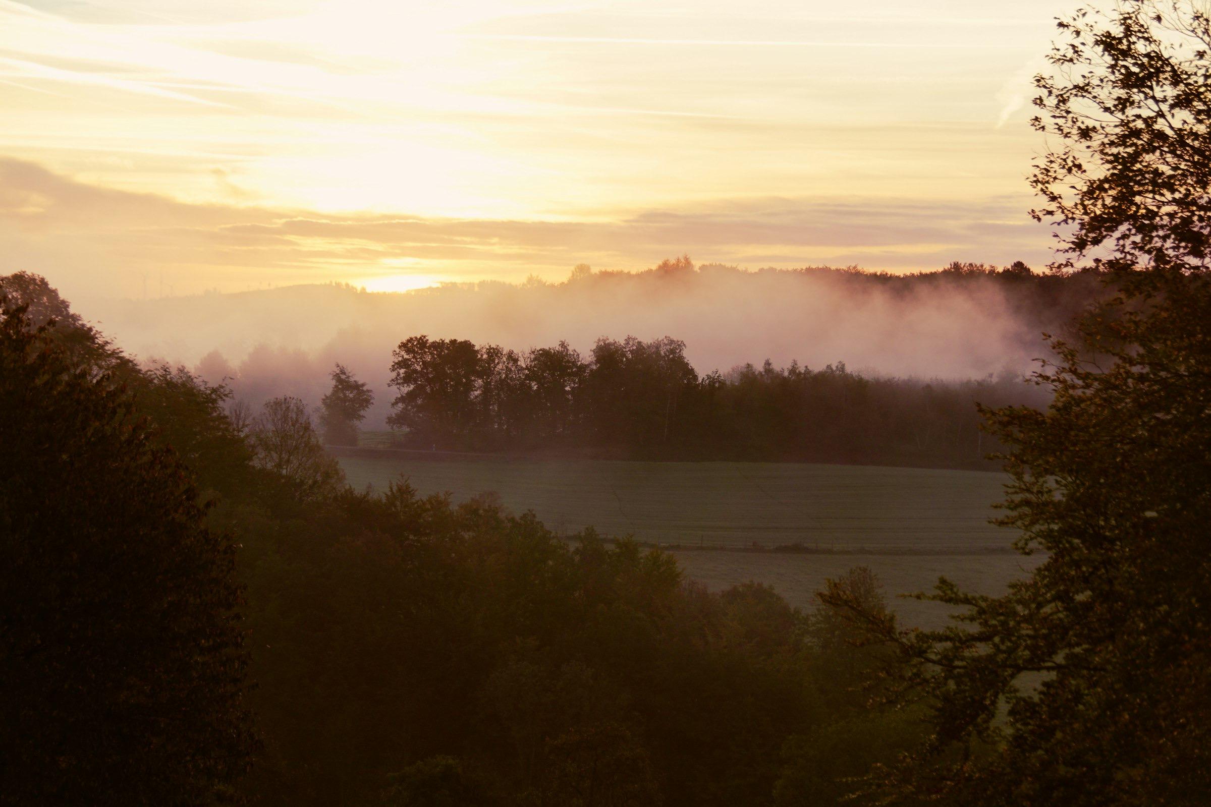 Fog lifting off fields and woodlots at sunrise.